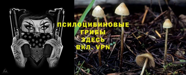 гашик Абдулино