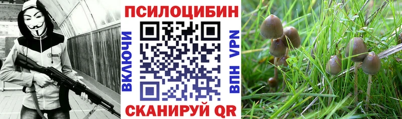 Галлюциногенные грибы прущие грибы  Алатырь 