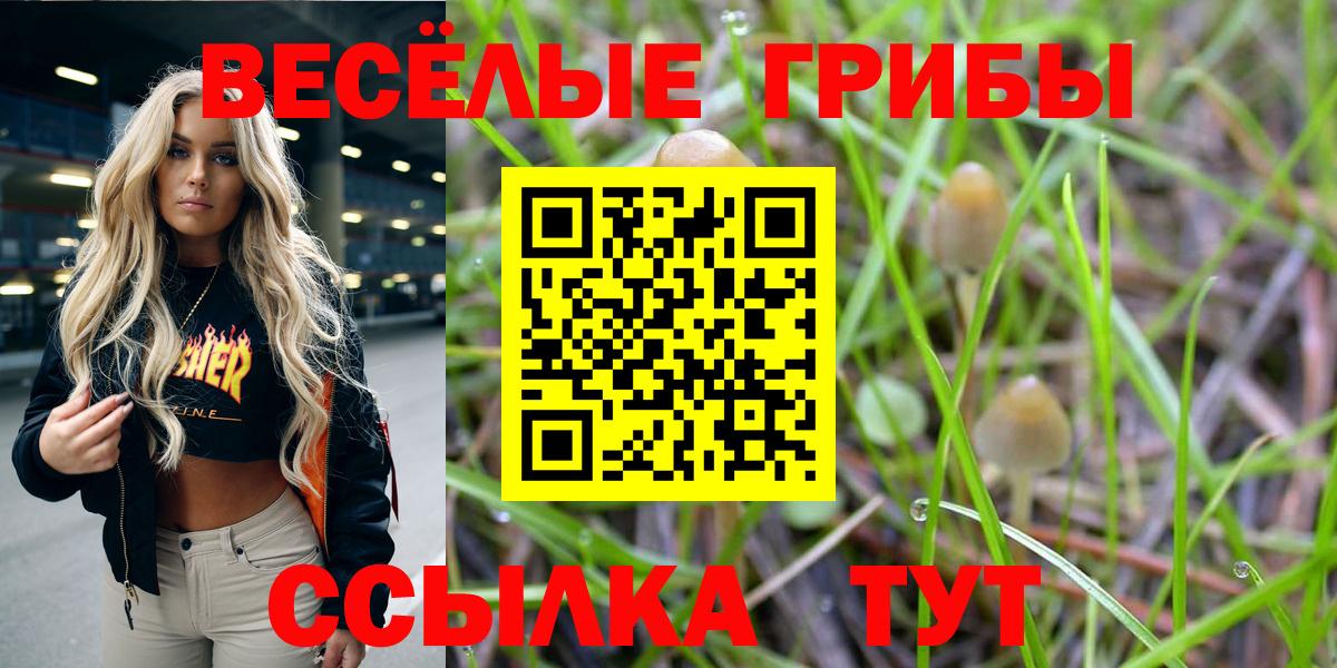 Галлюциногенные грибы Psilocybe  Вход с VPN  Галлюциногенные грибы Magic Shrooms  Алатырь 